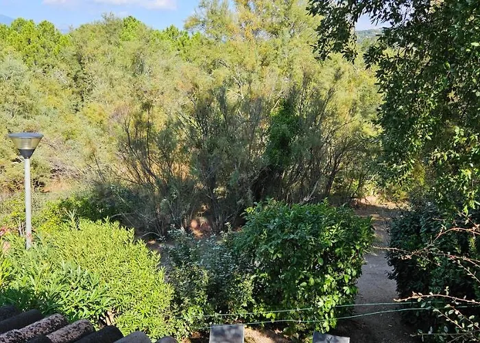 Apartment St Cyprien C18 -4/6 Pers- Clim- A 250m De La De Sable Saint Cyprien Lecci