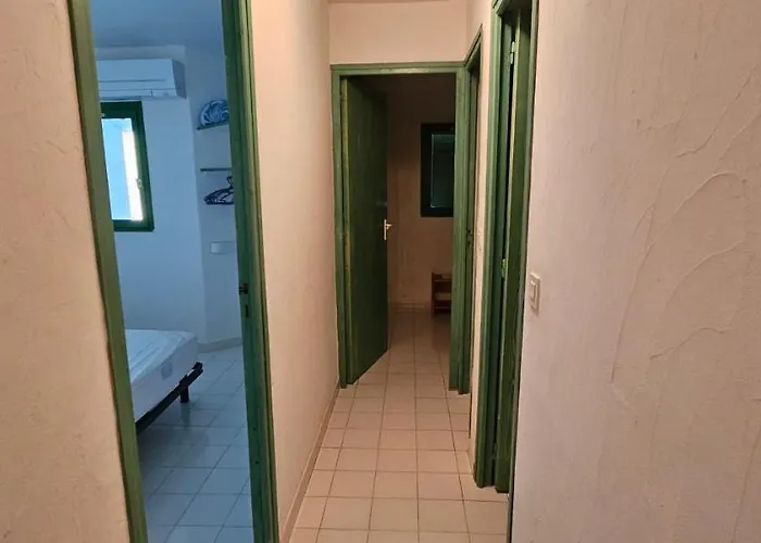 Apartment St Cyprien C18 -4/6 Pers- Clim- A 250m De La De Sable Saint Cyprien Lecci