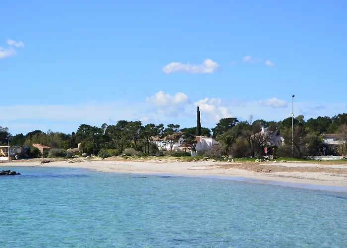 Apartment St Cyprien C18 -4/6 Pers- Clim- A 250m De La De Sable Saint Cyprien *
