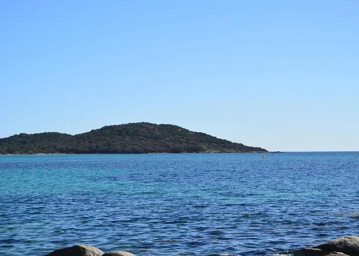 St Cyprien C18 -4/6 Pers- Clim- A 250m De La De Sable Saint Cyprien Apartment Lecci