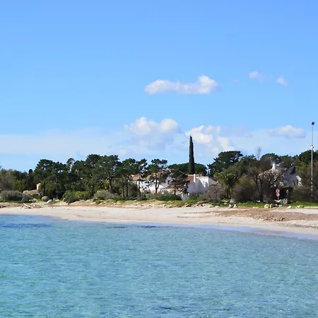 Apartament St Cyprien C18 -4/6 Pers- Clim- A 250m De La De Sable Saint Cyprien *